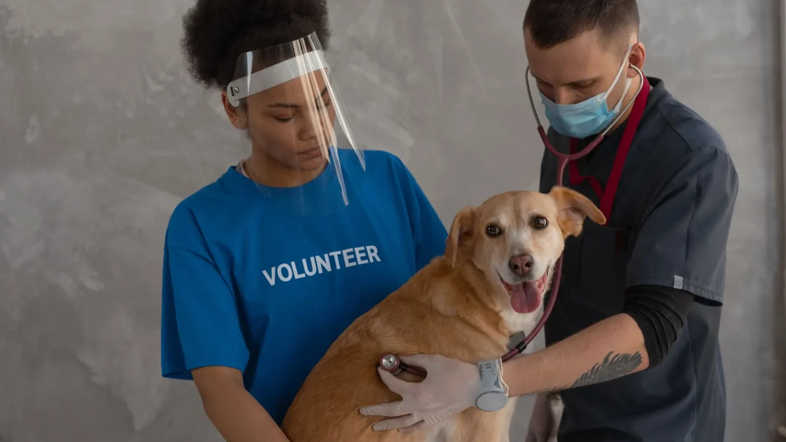 Veterinarian and volunteer care for a dog during a check-up at the clinic.