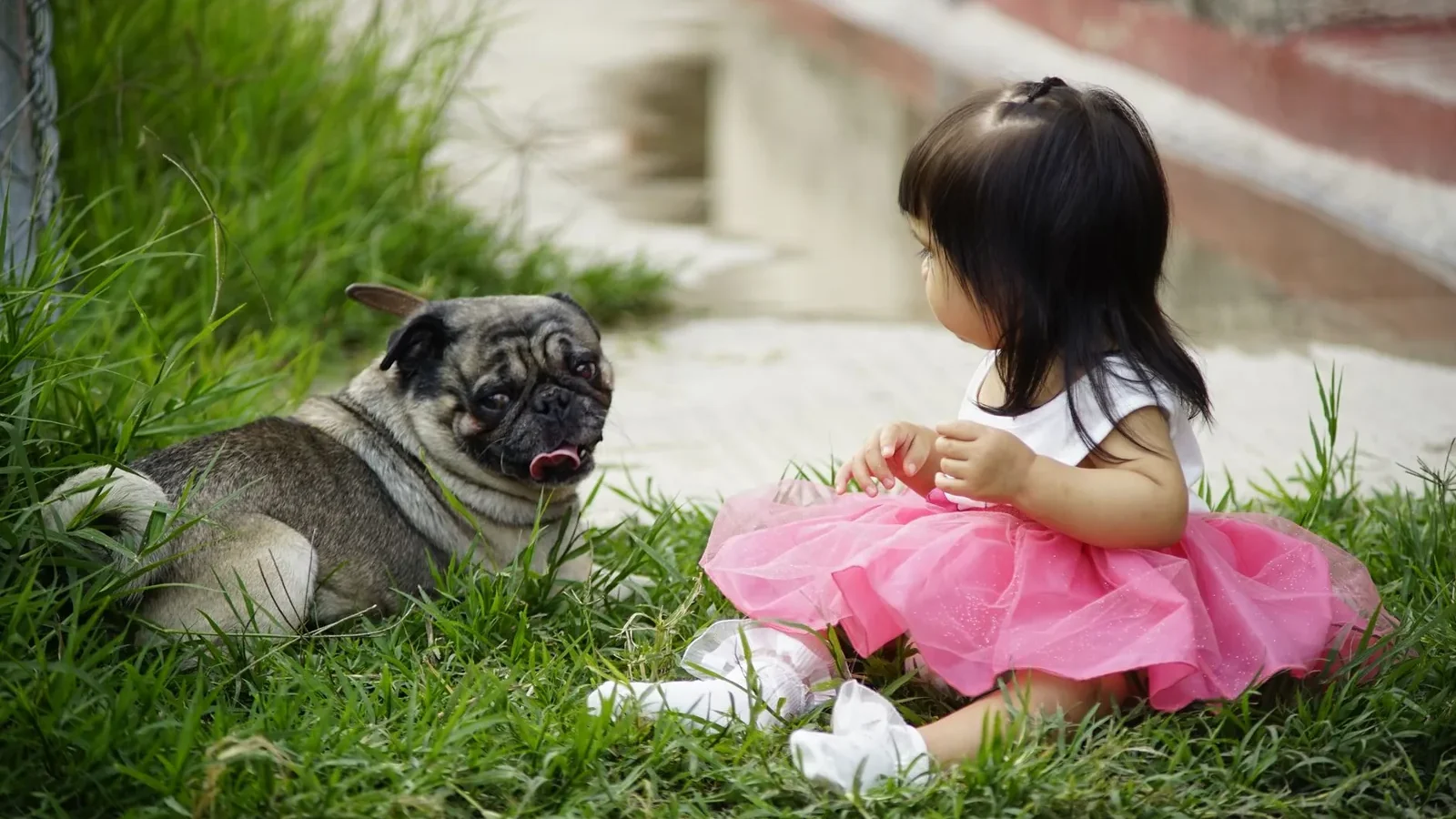 A young girl in a pink dress sits on the grass with a pug, enjoying an outdoor moment.