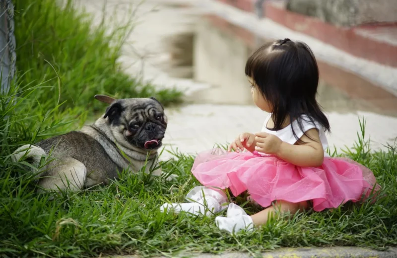 A young girl in a pink dress sits on the grass with a pug, enjoying an outdoor moment.