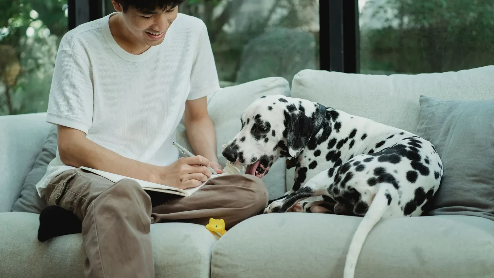 A man writing in a notebook beside a Dalmatian dog on a sofa in a cozy indoor setting.