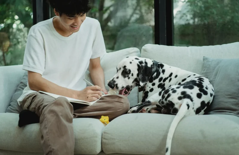 A man writing in a notebook beside a Dalmatian dog on a sofa in a cozy indoor setting.