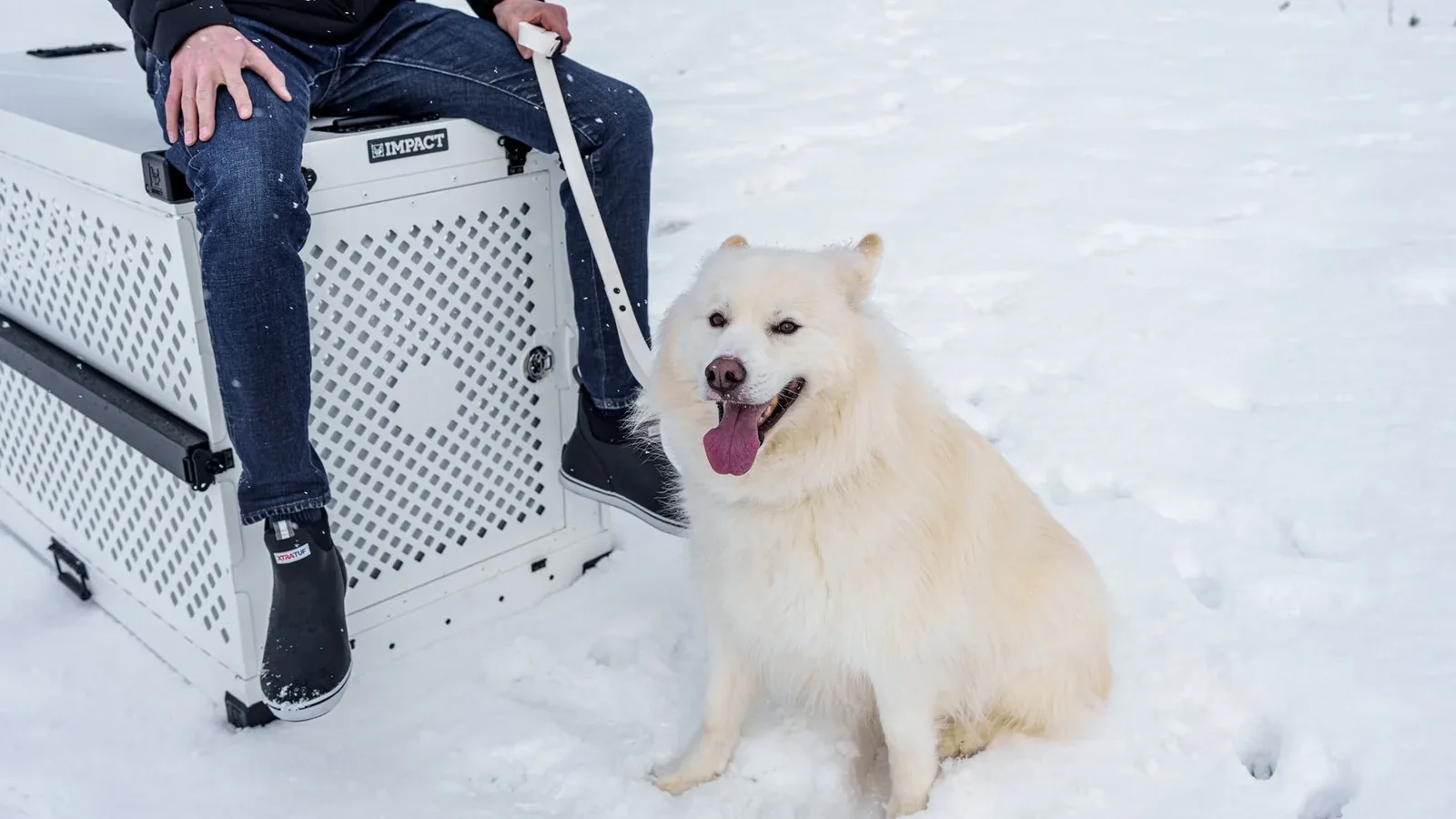 A person sits with a white fluffy dog beside a crate in a snowy winter scene.