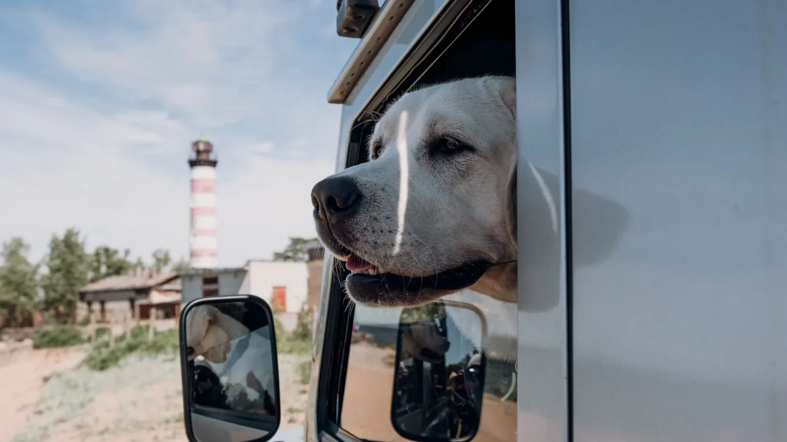 Muzzle of cute dog with open mouth peeking out of transport parked under cloudy sky.