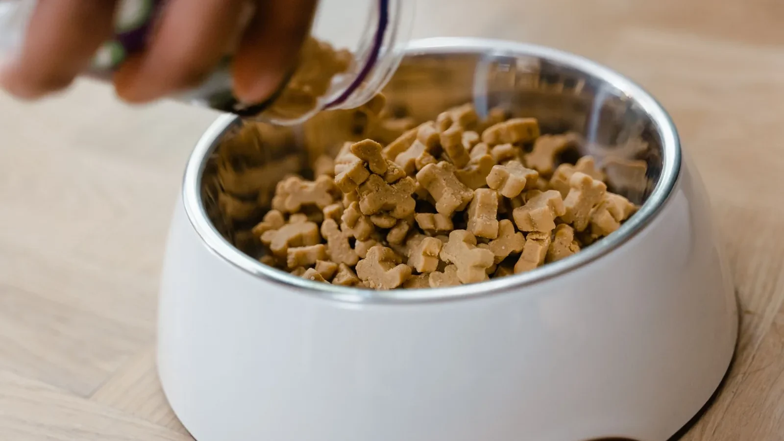 Close-up of hand pouring dog biscuits into a bowl, perfect for pet care themes.