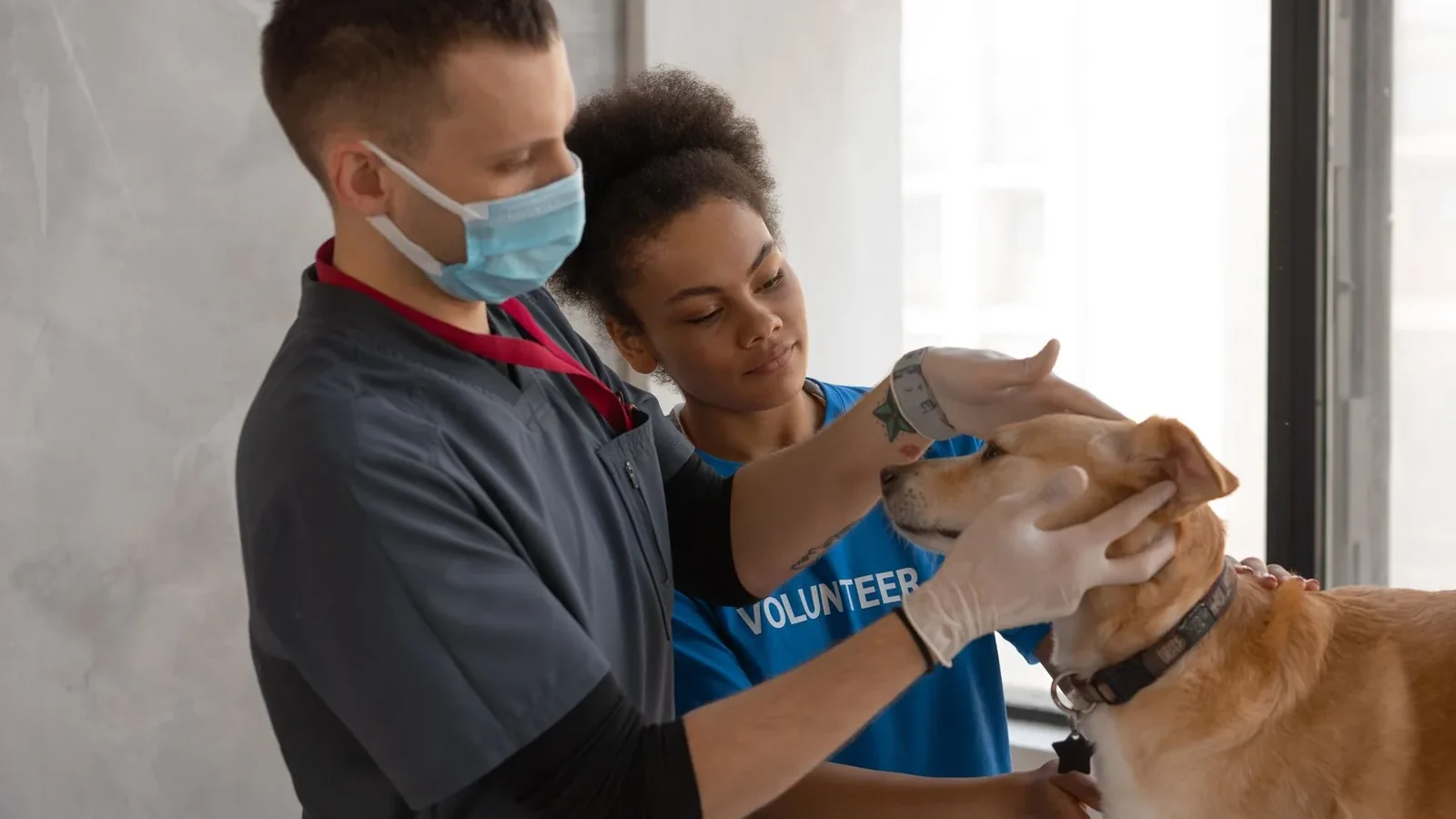 A veterinarian and volunteer care for a dog's health in a clinic setting.