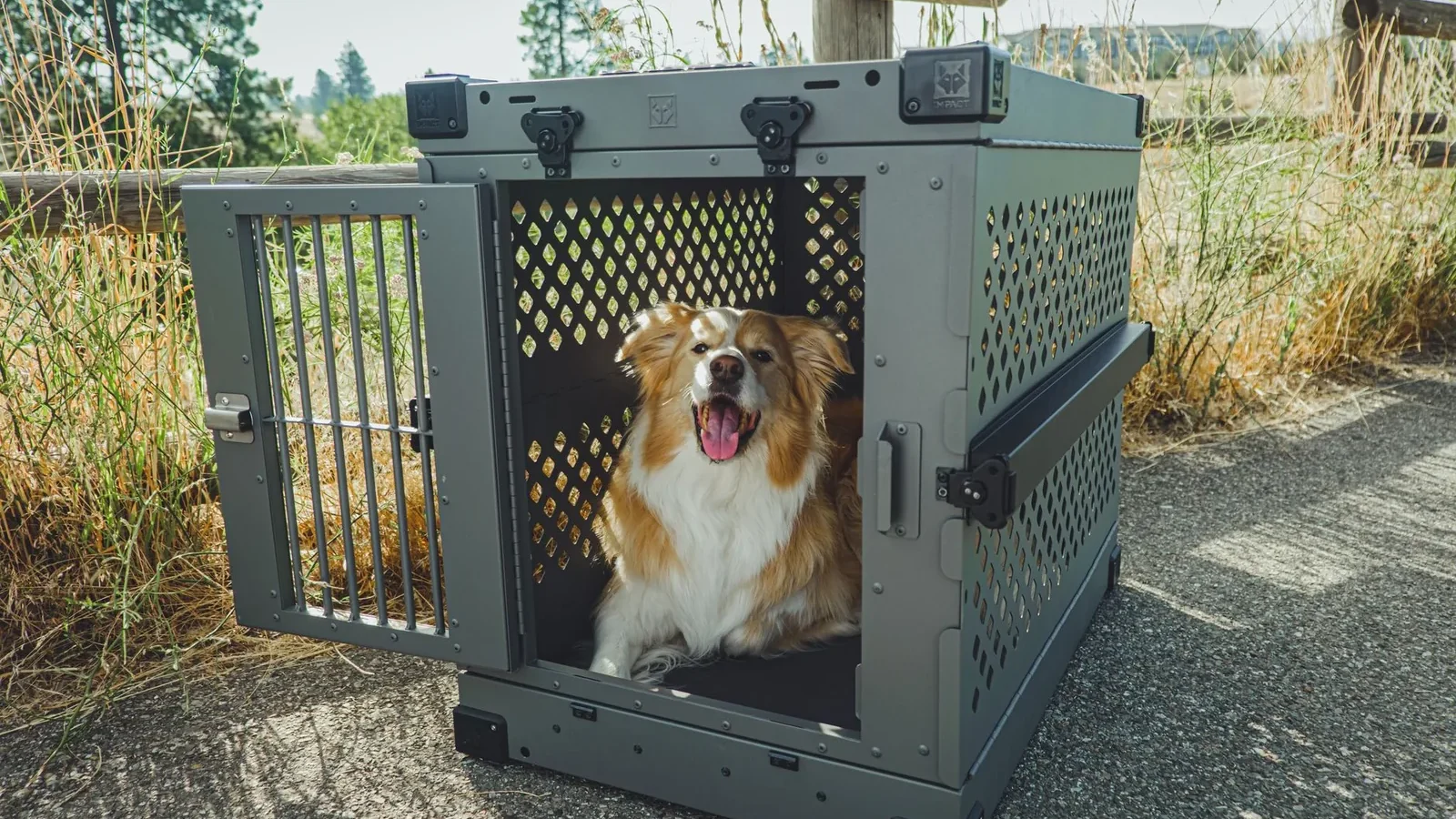 Australian Shepherd dog smiling in a sturdy outdoor crate, perfect for pet safety.