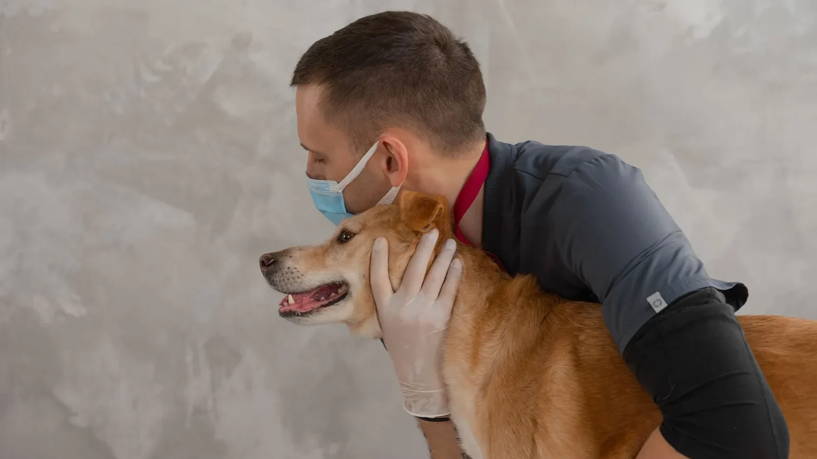 A caring veterinarian embraces a happy dog during a routine checkup. Captures empathy and professionalism.