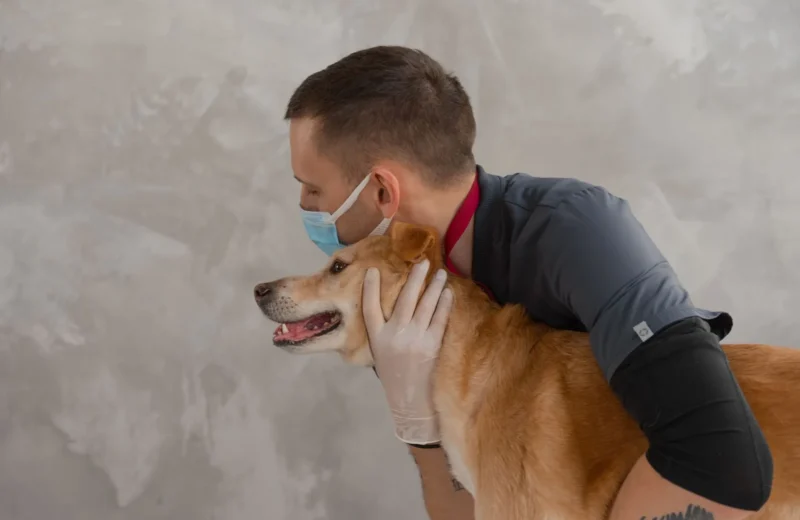 A caring veterinarian embraces a happy dog during a routine checkup. Captures empathy and professionalism.