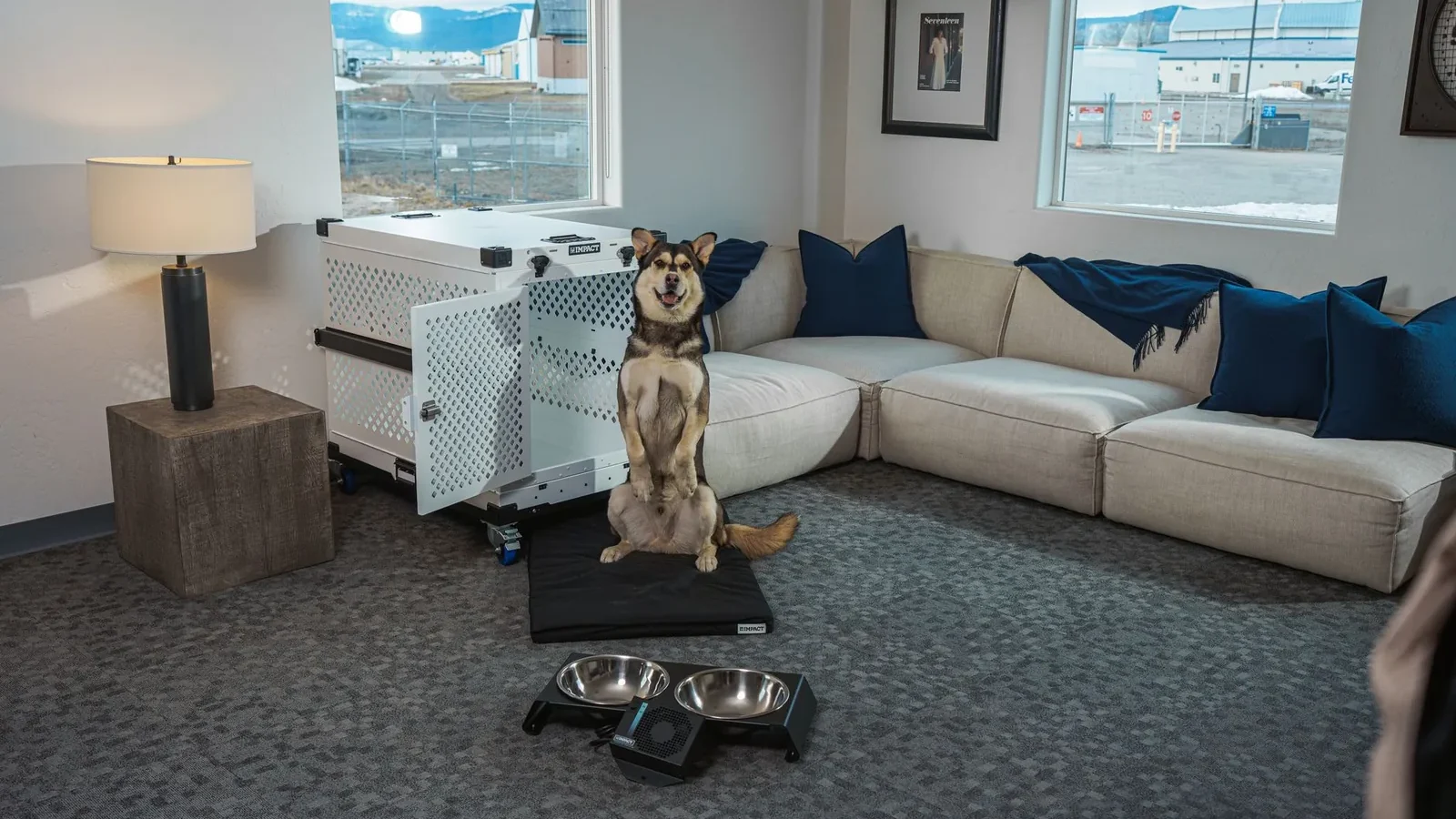 A stylish living room featuring a happy dog, comfortable sofa, and modern aluminum pet crate.