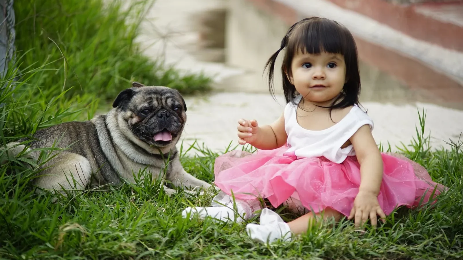 Cute toddler in pink tutu sitting on grass with a pug, showcasing joyful companionship.