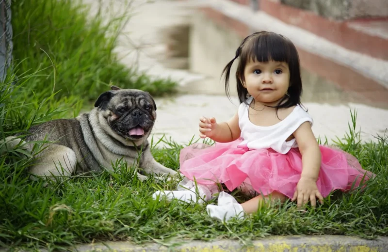 Cute toddler in pink tutu sitting on grass with a pug, showcasing joyful companionship.