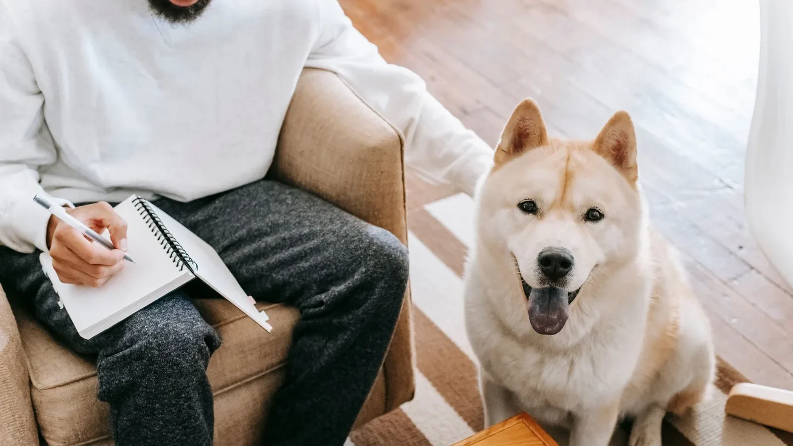 From above of anonymous African American male sitting in armchair and writing in notepad while stroking Akita Inu dog in living room.
