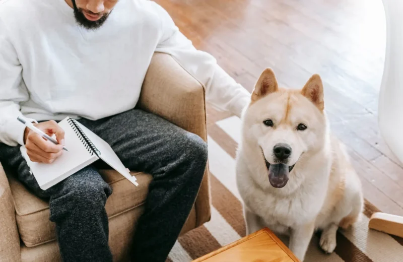 From above of anonymous African American male sitting in armchair and writing in notepad while stroking Akita Inu dog in living room.
