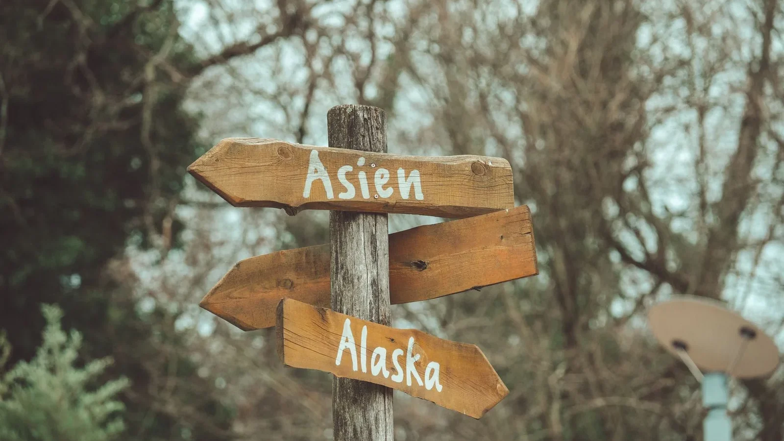 Rustic wooden directional signposts pointing towards Asien and Alaska in a natural outdoor setting.