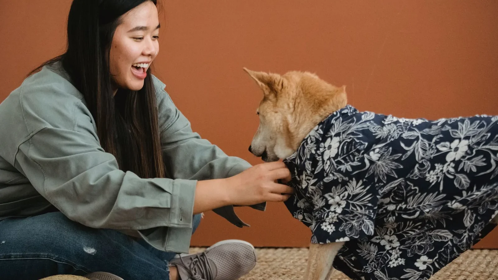 Side view of expressive Asian female owner dressing dog while sitting with crossed legs on floor.