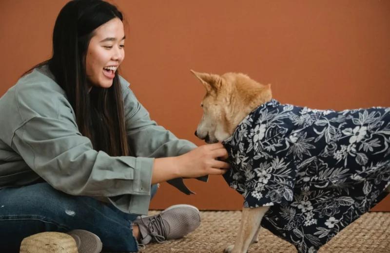 Side view of expressive Asian female owner dressing dog while sitting with crossed legs on floor.