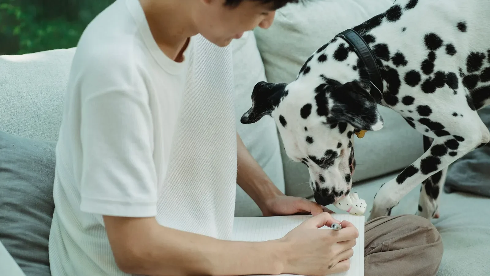 A man writing in a notebook with a Dalmatian dog playing nearby, creating a cozy indoor scene.