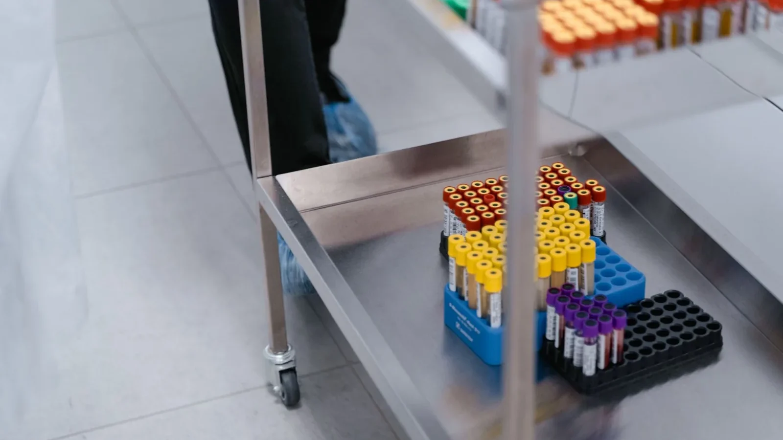 A close-up of blood sample vials organized in a laboratory setting.